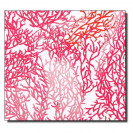 Geschenkpapier Issari Koralle Geschenkpapier Issari Koralle