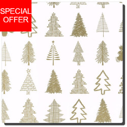 Weihnachtspapier Josua zweiseitig