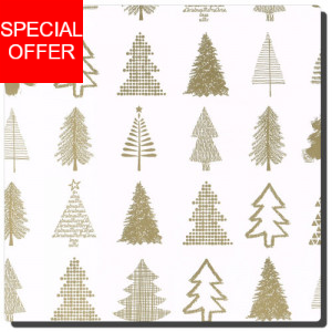 Weihnachtspapier Josua zweiseitig