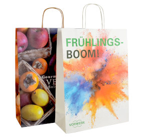 Papiertüte Offsetdruck 31x41x12 cm